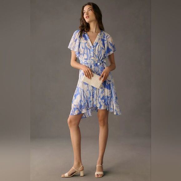 Anthropologie V-Neck Ruffle-Sleeve Pleated Dress In Blue Motif Size Small NWT - Picture 1 of 11